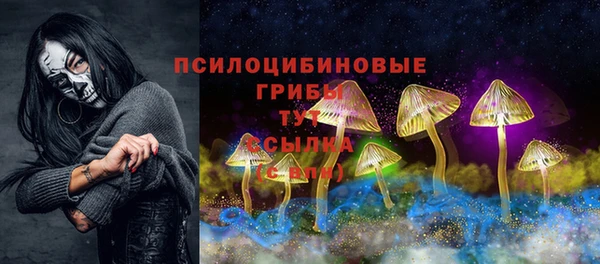 дурь Алексеевка