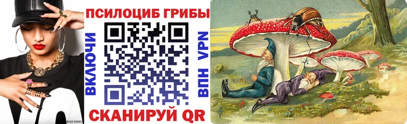 Галлюциногенные грибы мицелий  закладка  Калач-на-Дону 